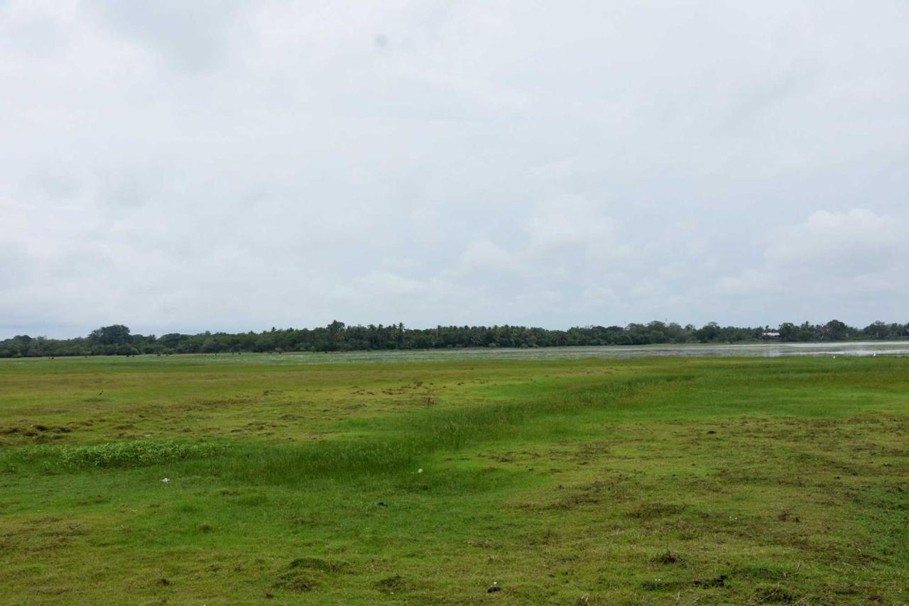 Dula Lake Resort Anuradhapura Exterior photo