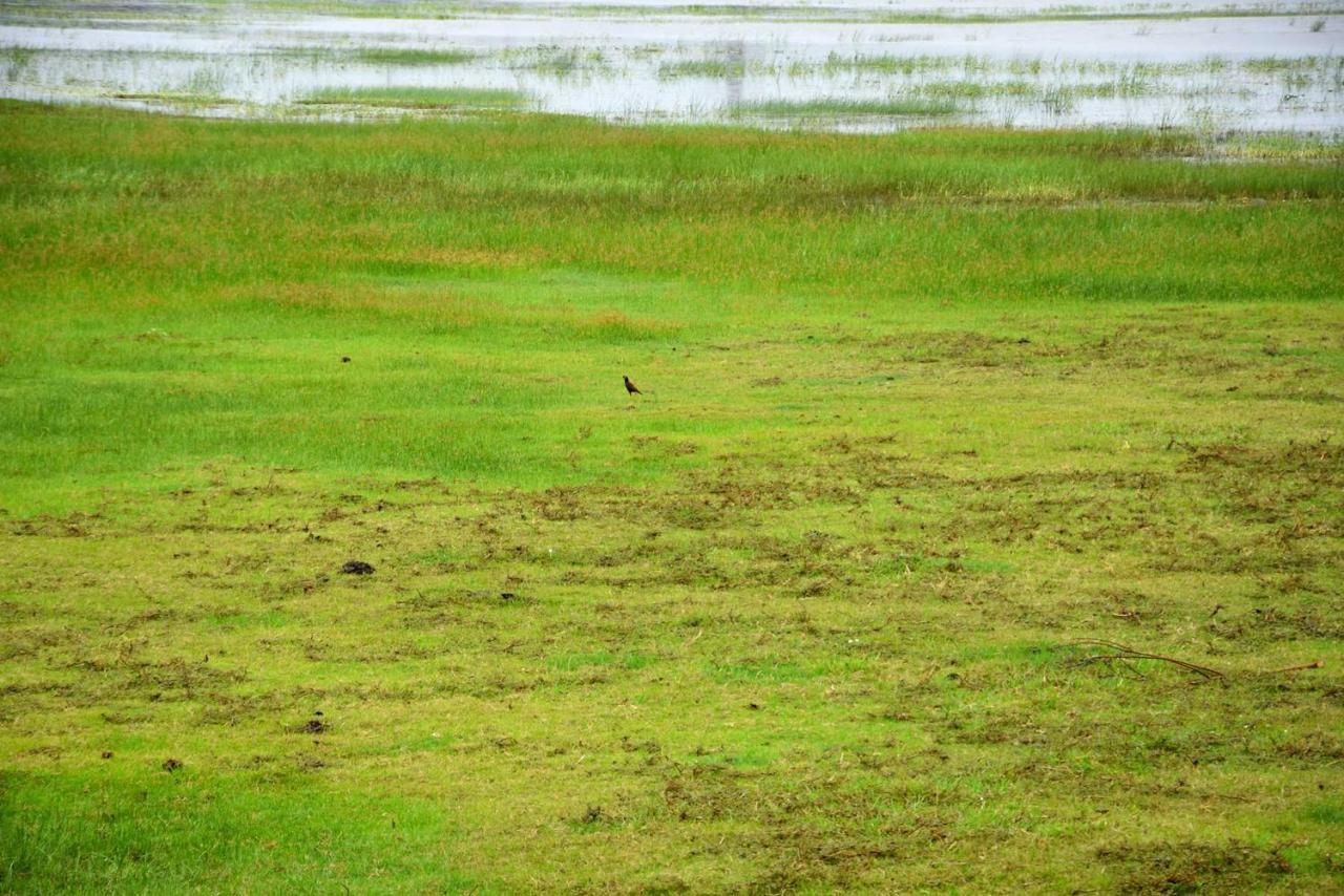 Dula Lake Resort Anuradhapura Exterior photo