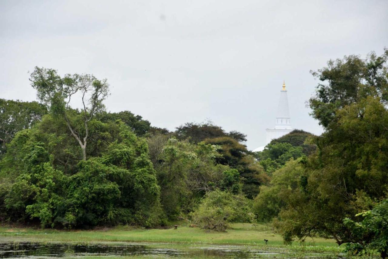 Dula Lake Resort Anuradhapura Exterior photo